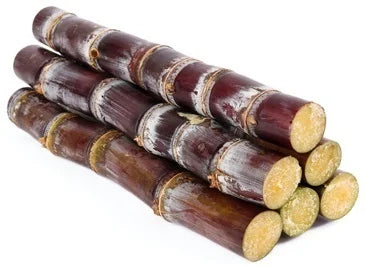 Sugarcane கரும்பு 1 Plant (3Pcs Cut)