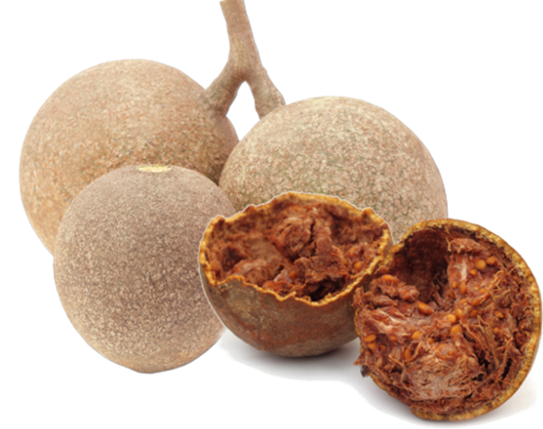 Wood Apple India விளாம்பழம் 2pcs