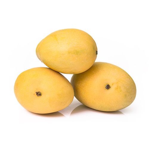 Mango Banganapalli India மாம்பழம்