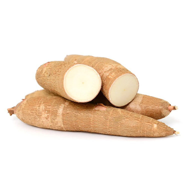 Tapioca Root மரவள்ளிக்கிழங்கு