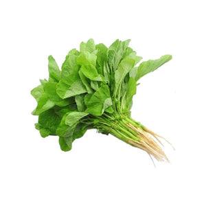 Bayam Chinese Spinach தண்டு கீரை