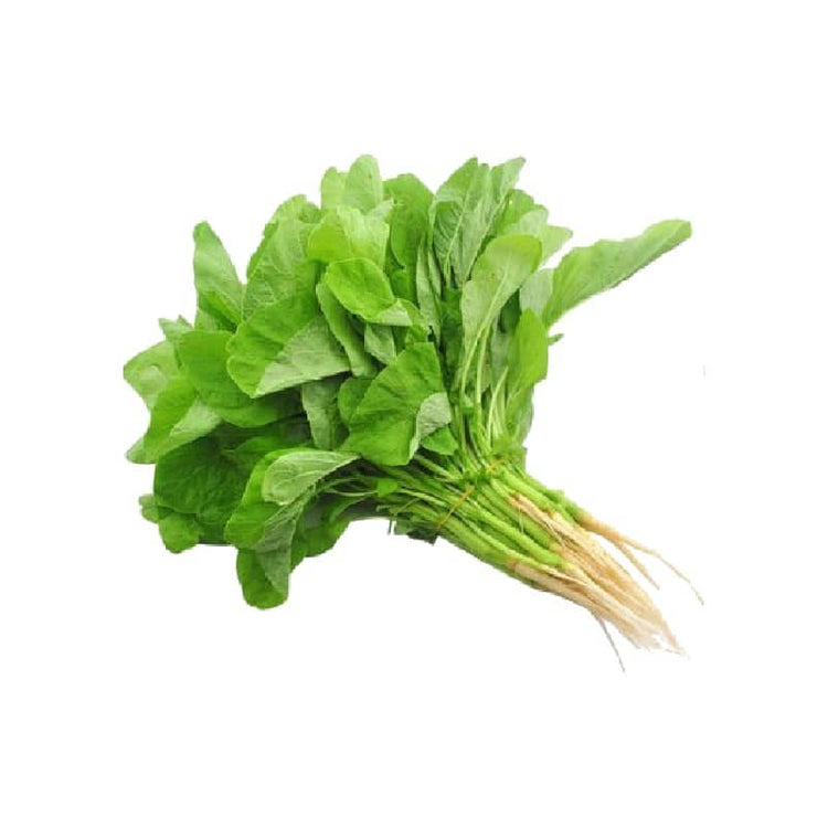 Bayam Chinese Spinach தண்டு கீரை
