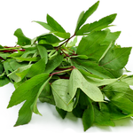 Asam Sorrel Leaves புளிச்ச கீரை