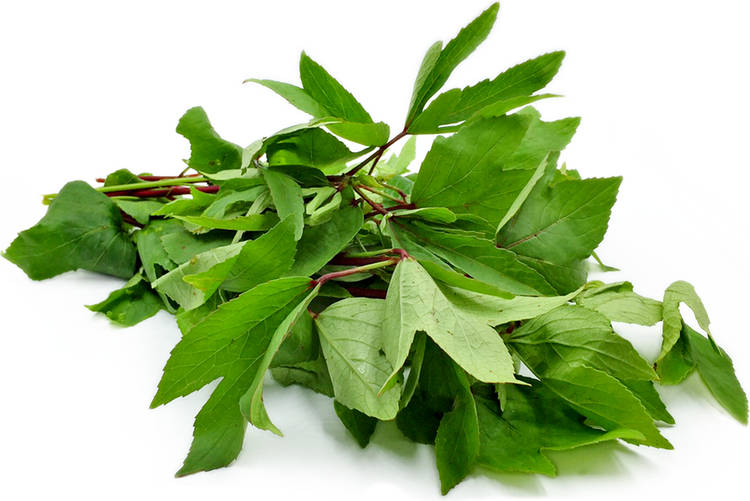 Asam Sorrel Leaves புளிச்ச கீரை