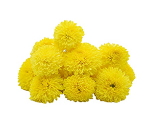 Yellow Chamanthi Chrysanthemums Kumki Flowers (Aprox 150gm)
