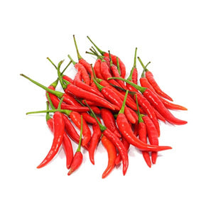Red chilli Padi சிவப்பு மிளகாய்