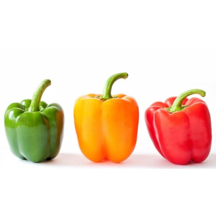 Capsicum குடை மிளகாய் 2pcs