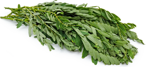 Turi Agathi leaves அகத்தி கீரை