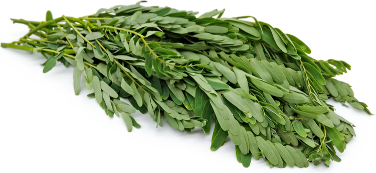 Turi Agathi leaves அகத்தி கீரை