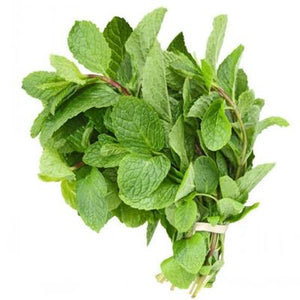 Mint Leaf புதினா