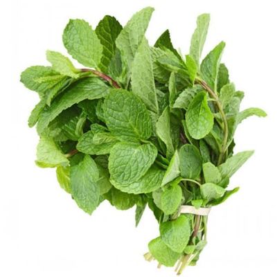 Mint Leaf புதினா