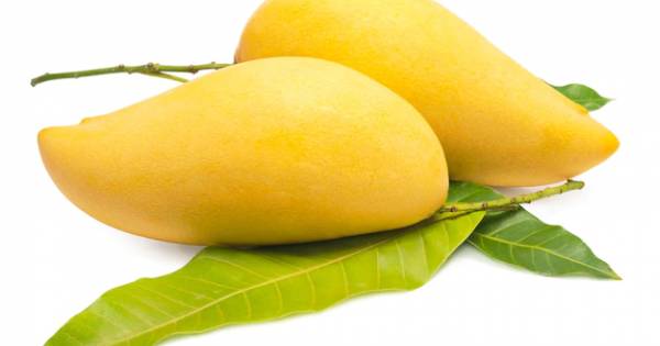 Mango Thai Honey மாம்பழம் 500GM