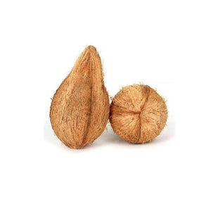 Coconut தேங்காய் 1pc