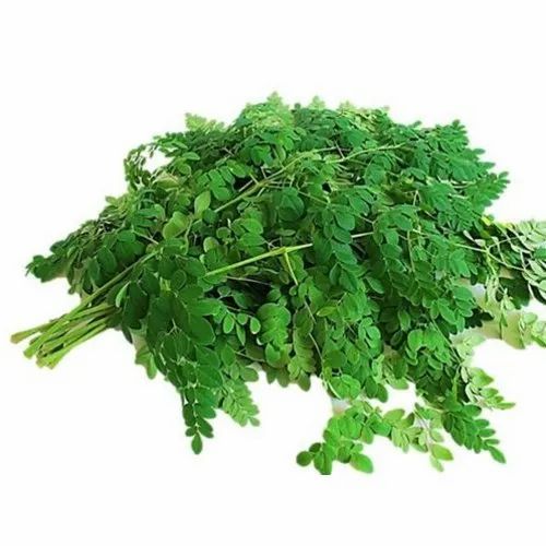 Kelor Drumstick leaves முருங்கை கீரை