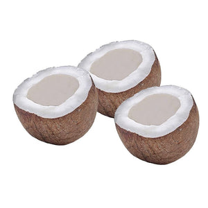 Dry Coconut தேங்காய்  1pc Approx 200gm