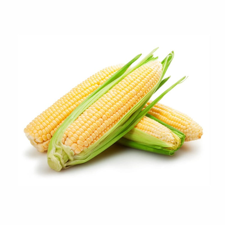 Corn மக்கா சோளம் 2pcs
