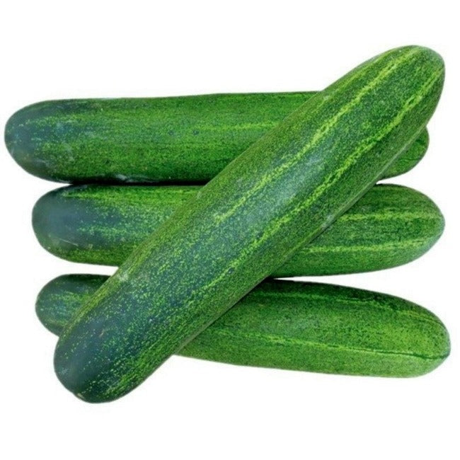 Cucumber வெள்ளரிக்காய் 500GM