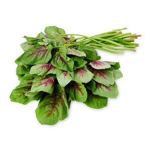 Bayam Red Spinach சிவப்பு தண்டு கீரை
