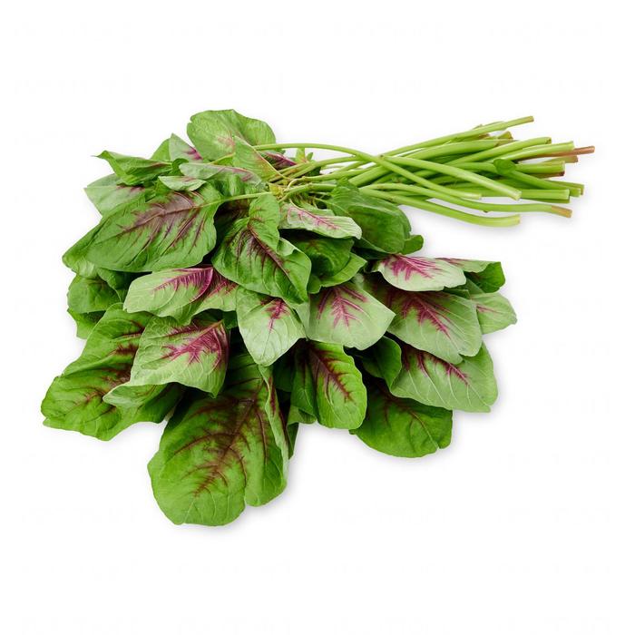Bayam Red Spinach சிவப்பு தண்டு கீரை
